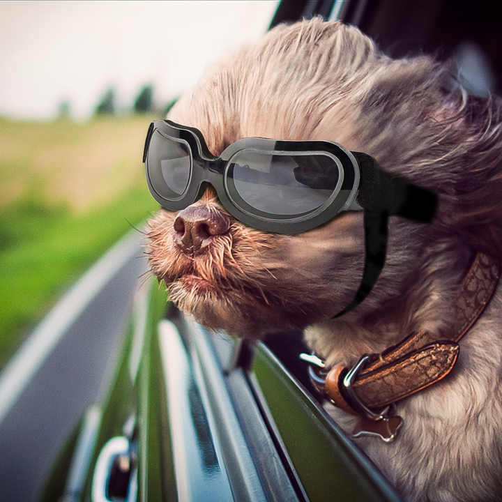 NNEDSZ Silver Lenses Pet Sunglasses for Dogs and Cats - UV Protection, Adjustable Strap, Anti-Wind and Anti-Fog Pet Goggles